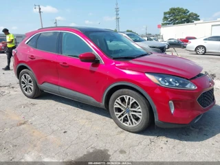 FORD FORD ESCAPE SEL HYBRID