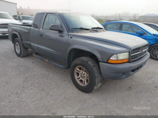 DODGE DODGE DAKOTA