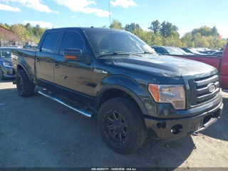 FORD FORD F-150 FX4/HARLEY-DAVIDSON/KING RANCH/LARIAT/PLATINUM/XL/XLT