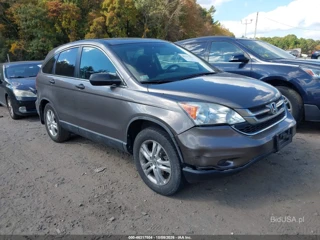 HONDA HONDA CR-V EX