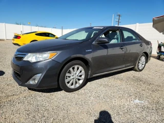 TOYOTA CAMRY HYBRID XLE