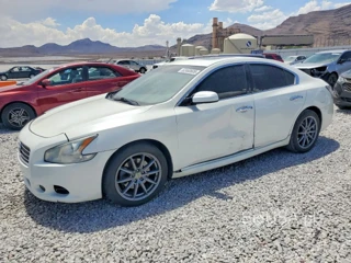 NISSAN MAXIMA 3.5 S