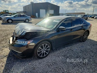 ACURA TLX TECH