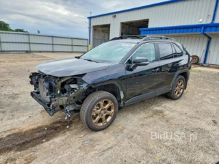 TOYOTA RAV4 WOODLAND EDITION