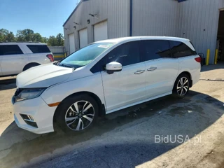 HONDA ODYSSEY ELITE