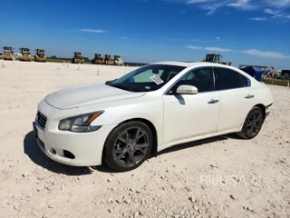 NISSAN MAXIMA 3.5 SV
