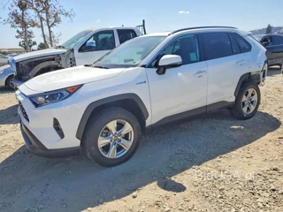 TOYOTA RAV4 XLE