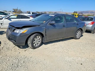 TOYOTA CAMRY HYBRID