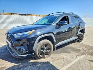 TOYOTA RAV4 XLE