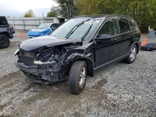 HONDA CR-V EXL