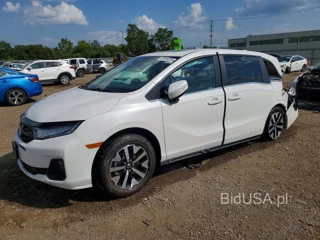HONDA ODYSSEY EXL