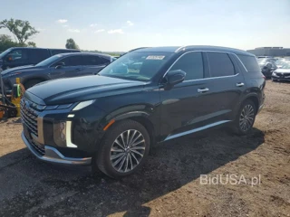 HYUNDAI PALISADE CALLIGRAPHY