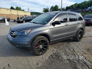 HONDA CR-V EX
