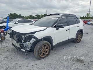 TOYOTA RAV4 WOODLAND EDITION