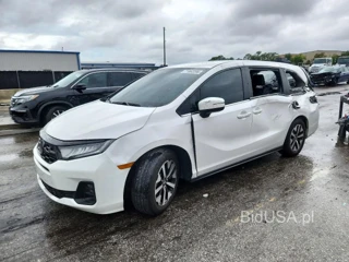 HONDA ODYSSEY EXL