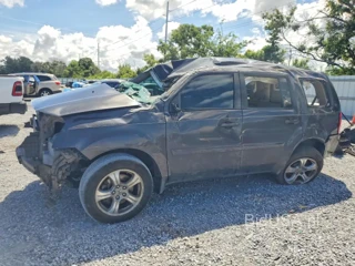 HONDA PILOT EX