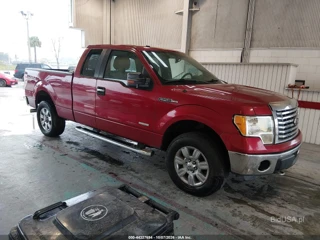 FORD FORD F-150 XLT