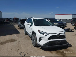 TOYOTA TOYOTA RAV4 XLE