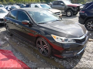 HONDA HONDA ACCORD SPORT