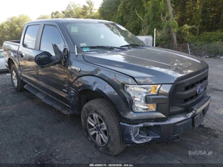 FORD FORD F-150 XL