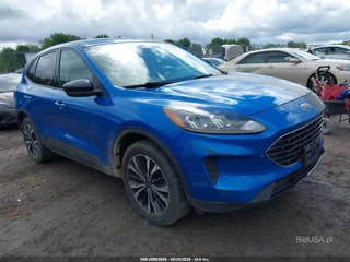 FORD FORD ESCAPE SE