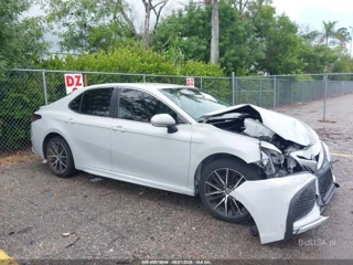 TOYOTA TOYOTA CAMRY SE
