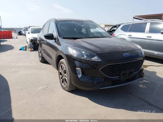FORD FORD ESCAPE SEL