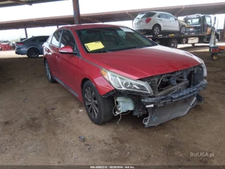 HYUNDAI HYUNDAI SONATA SPORT