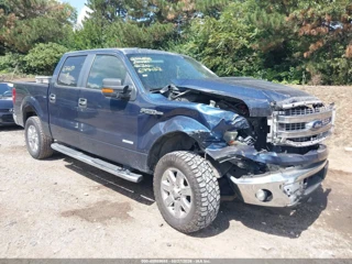 FORD FORD F-150 XLT
