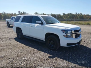 CHEVROLET CHEVROLET TAHOE COMMERCIAL FLEET
