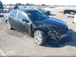 HONDA HONDA ACCORD 2.4 EX-L