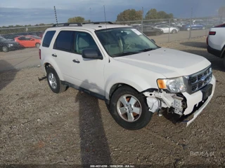 FORD FORD ESCAPE XLT