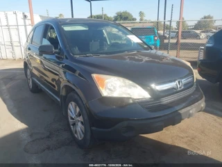 HONDA HONDA CR-V EX