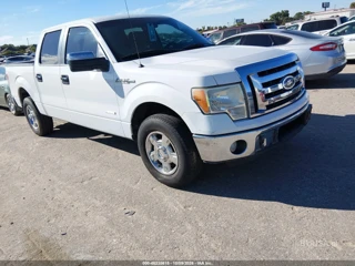 FORD FORD F-150 XLT