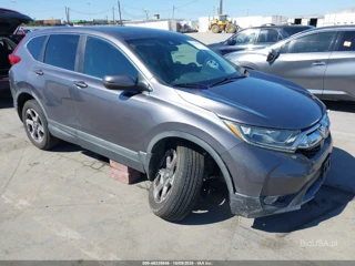 HONDA HONDA CR-V EX