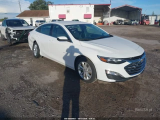 CHEVROLET CHEVROLET MALIBU FWD 1LT