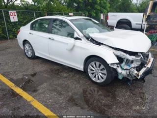 HONDA HONDA ACCORD EX-L