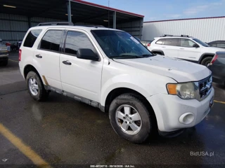 FORD FORD ESCAPE XLT