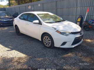 TOYOTA TOYOTA COROLLA LE