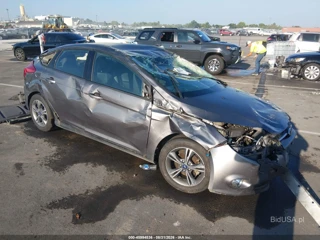 FORD FORD FOCUS SE