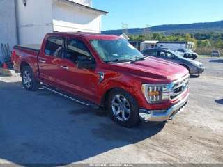 FORD FORD F-150 XLT