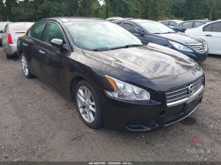 NISSAN NISSAN MAXIMA 3.5 S