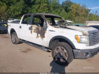 FORD FORD F-150 FX4/HARLEY-DAVIDSON/KING RANCH/LARIAT/PLATINUM/XL/XLT