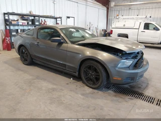 FORD FORD MUSTANG V6/V6 PREMIUM