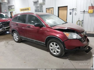 HONDA HONDA CR-V EX
