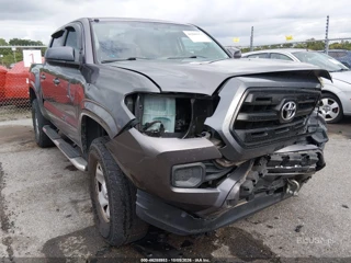 TOYOTA TOYOTA TACOMA SR