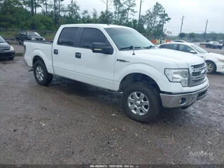 FORD FORD F-150 XLT
