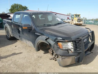FORD FORD F-150 XL/XLT