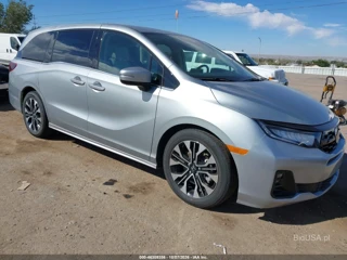 HONDA HONDA ODYSSEY ELITE