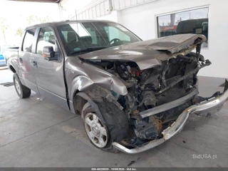 FORD FORD F-150 XLT